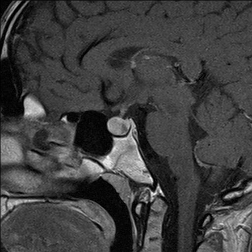 Radiologische Leistungen