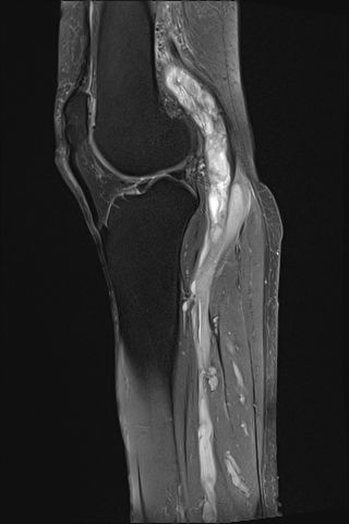 Radiologische Leistungen