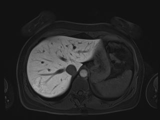 Radiologische Leistungen