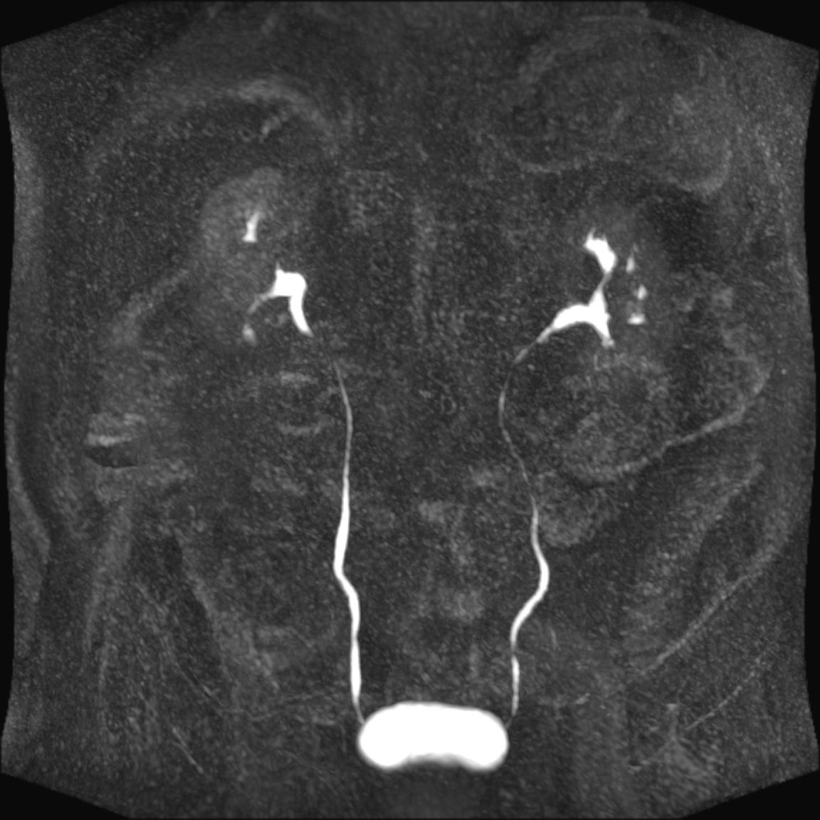 Radiologische Leistungen