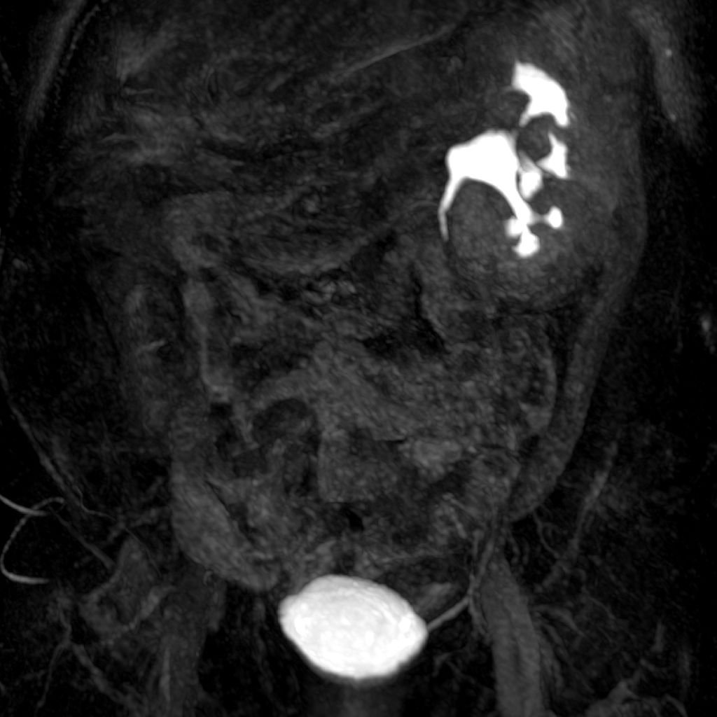 Radiologische Leistungen