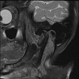 Radiologische Leistungen