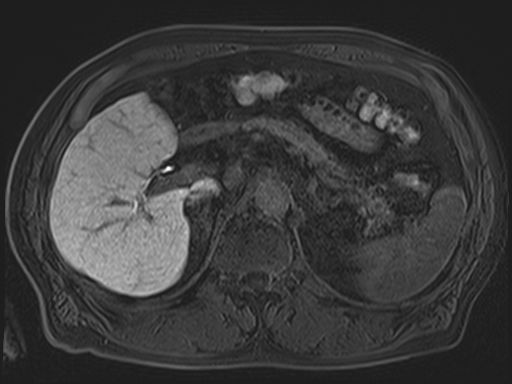 Radiologische Leistungen