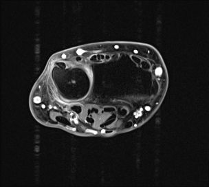 Radiologische Leistungen