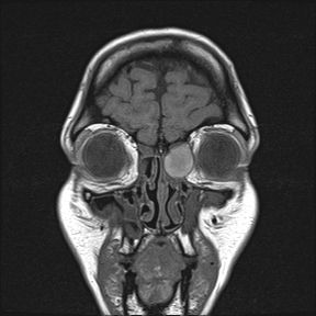 Radiologische Leistungen