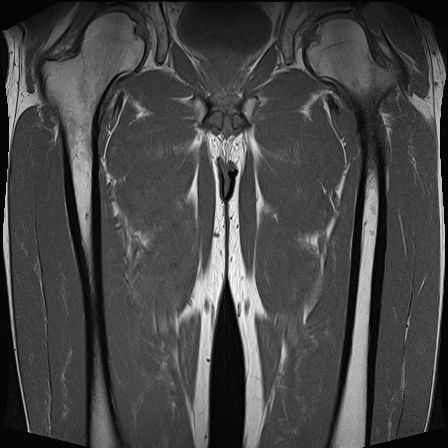 Radiologische Leistungen