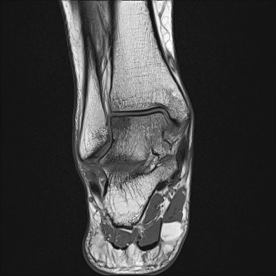 Radiologische Leistungen