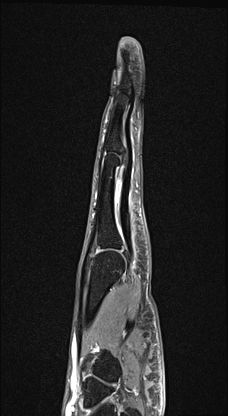 Radiologische Leistungen