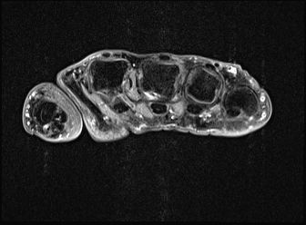 Radiologische Leistungen