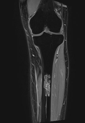 Radiologische Leistungen