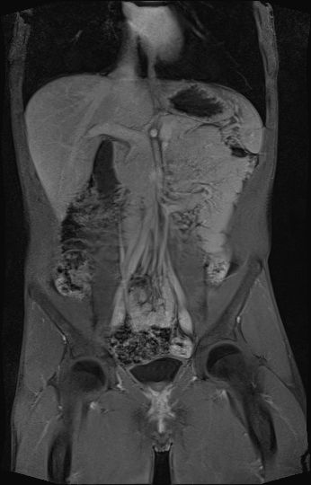 Radiologische Leistungen