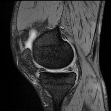 Radiologische Leistungen