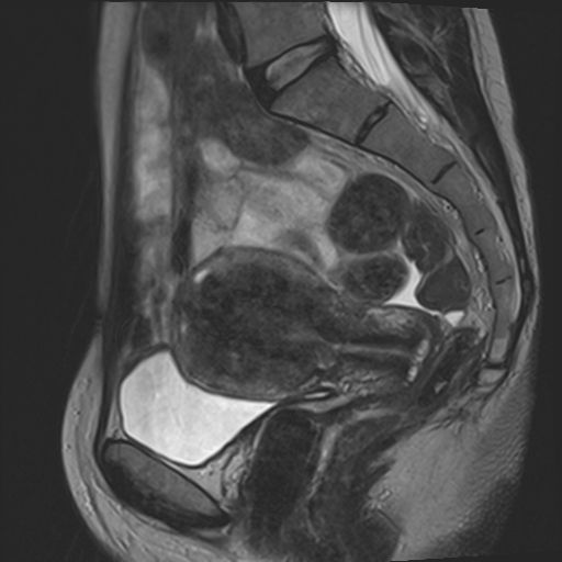 Radiologische Leistungen