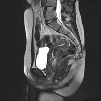 Radiologische Leistungen