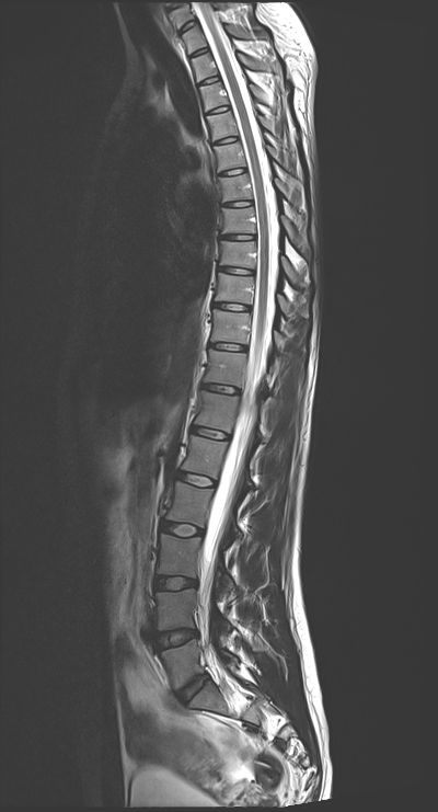 Radiologische Leistungen