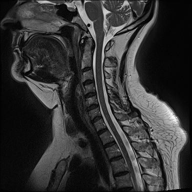 Radiologische Leistungen