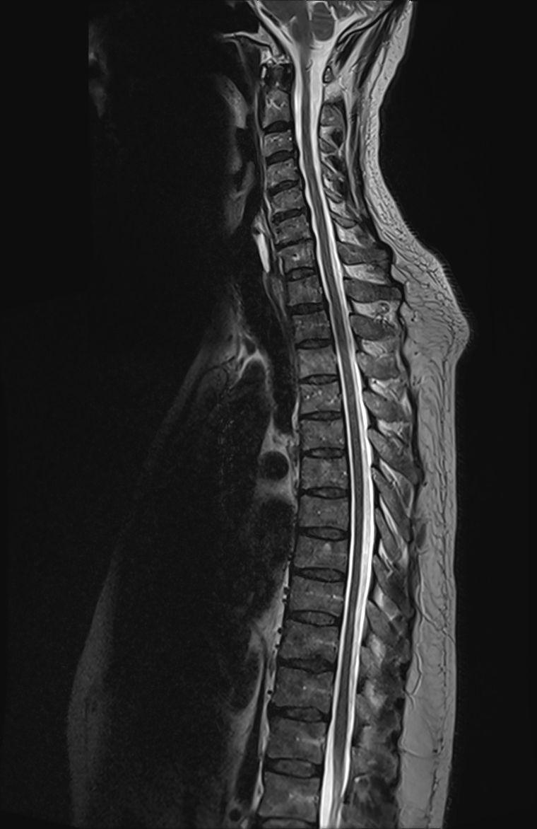 Radiologische Leistungen