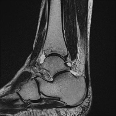 Radiologische Leistungen