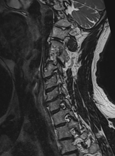 Radiologische Leistungen