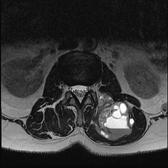 Radiologische Leistungen