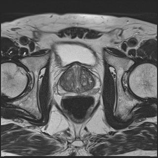 Radiologische Leistungen