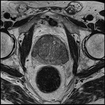 Radiologische Leistungen