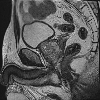 Radiologische Leistungen