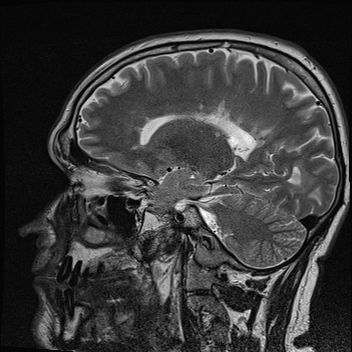 Radiologische Leistungen